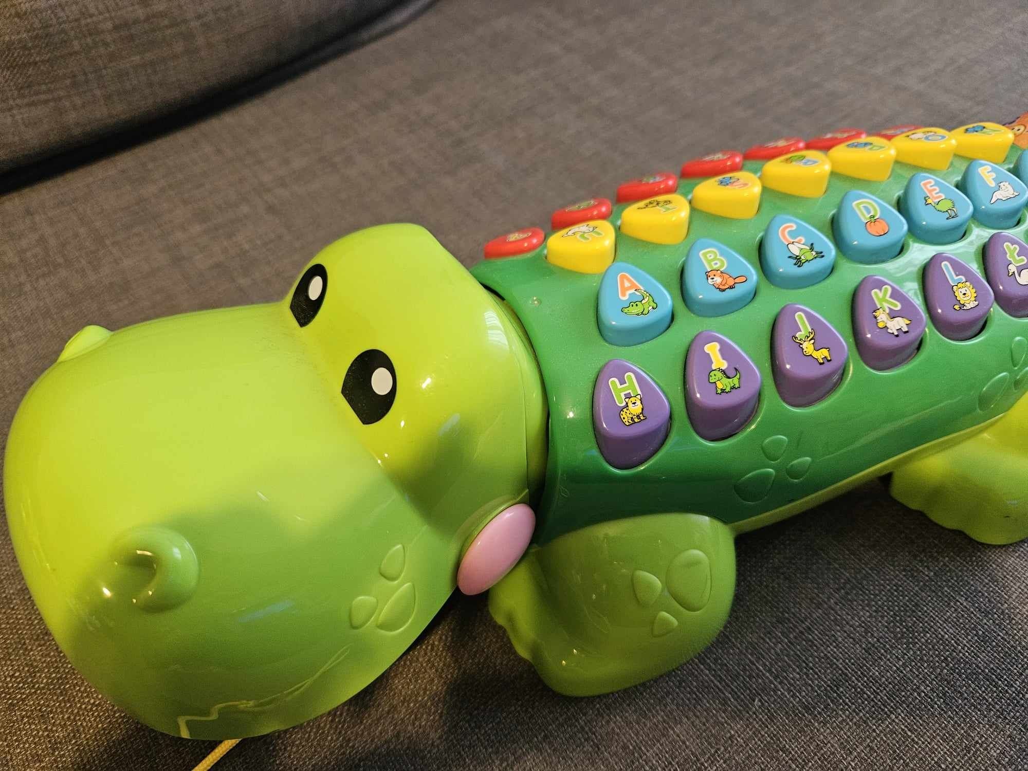 Aligator Edukator