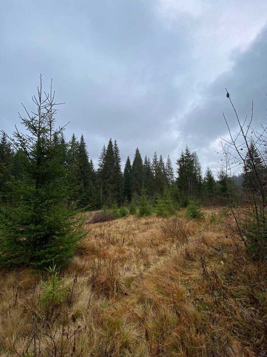 Продаж земельної ділянки в с.Яблуниця