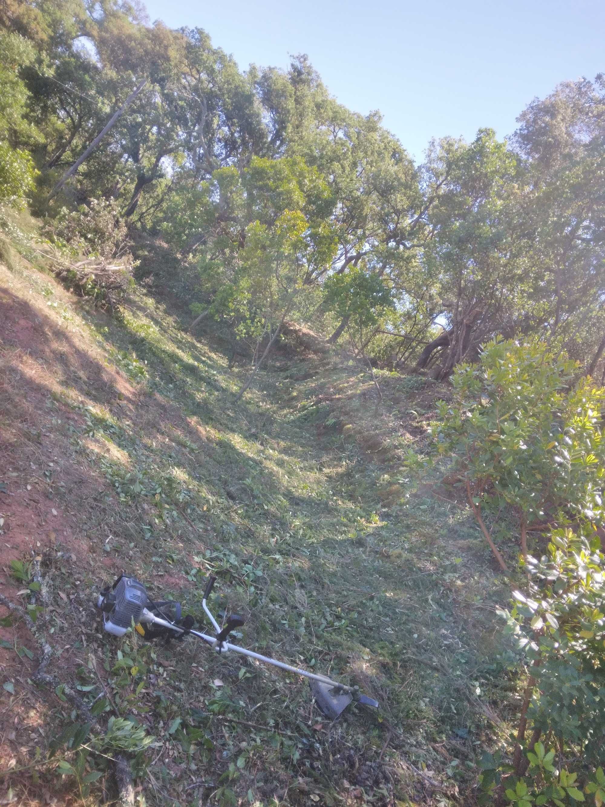 Limpeza de terrenos