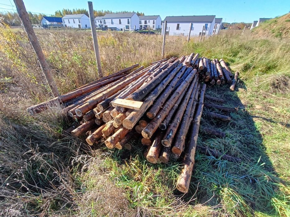 Stemple Leźno 3,20m, i 2,70m