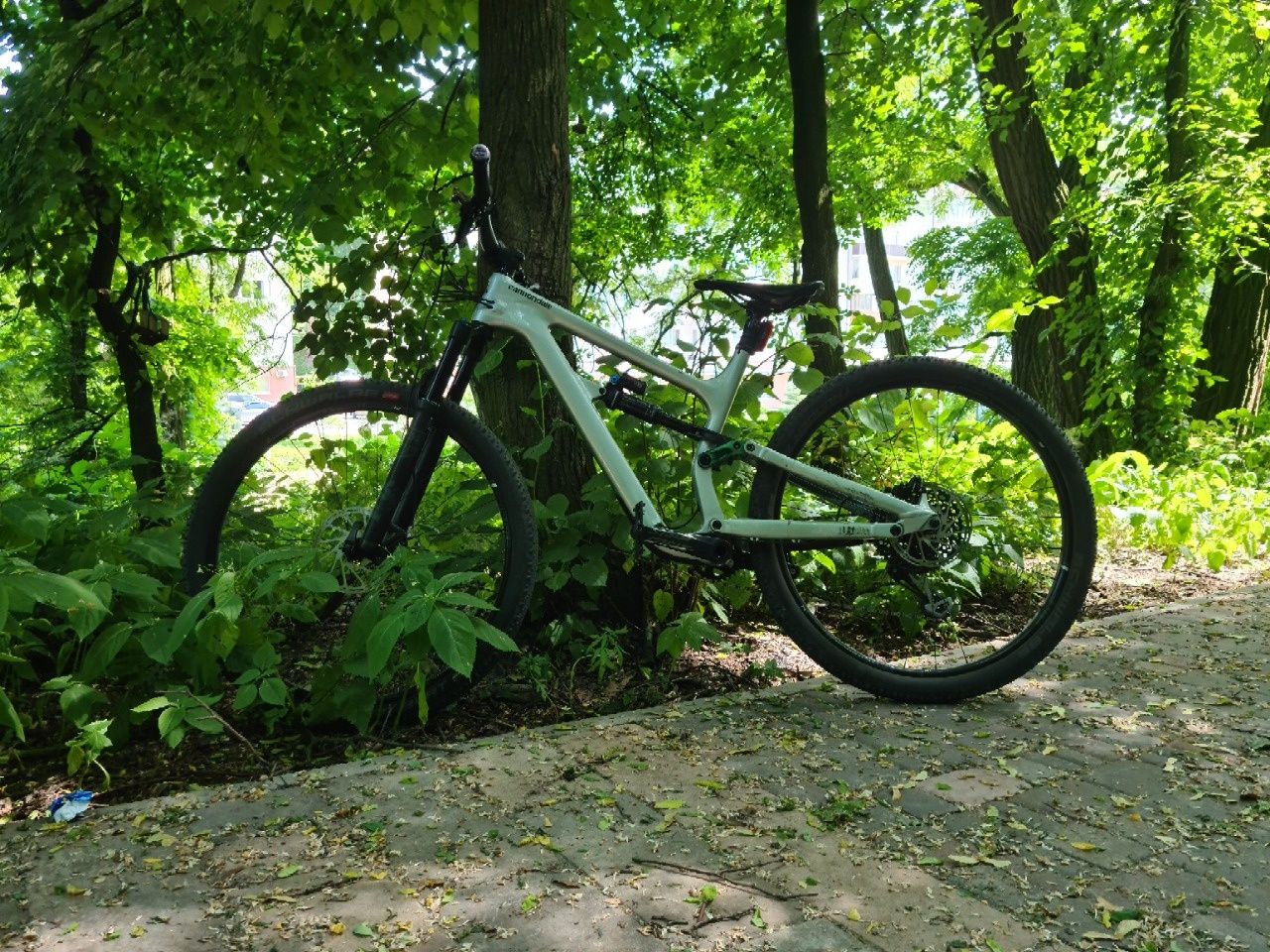 Cannondale Habit Carbon 2 2019 (рaзмер М)