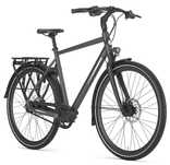 Rower na pasku Gazelle Chamonix S11 Alfine 11 Męski Cloud grey mat