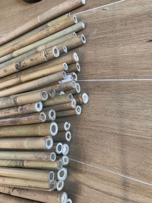 Tyczki bambusowe 240cm