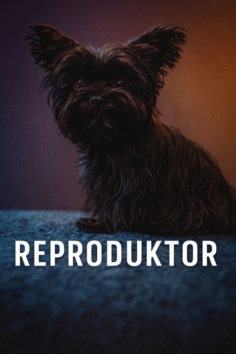 Reproduktor Yorkshire terrier Black
