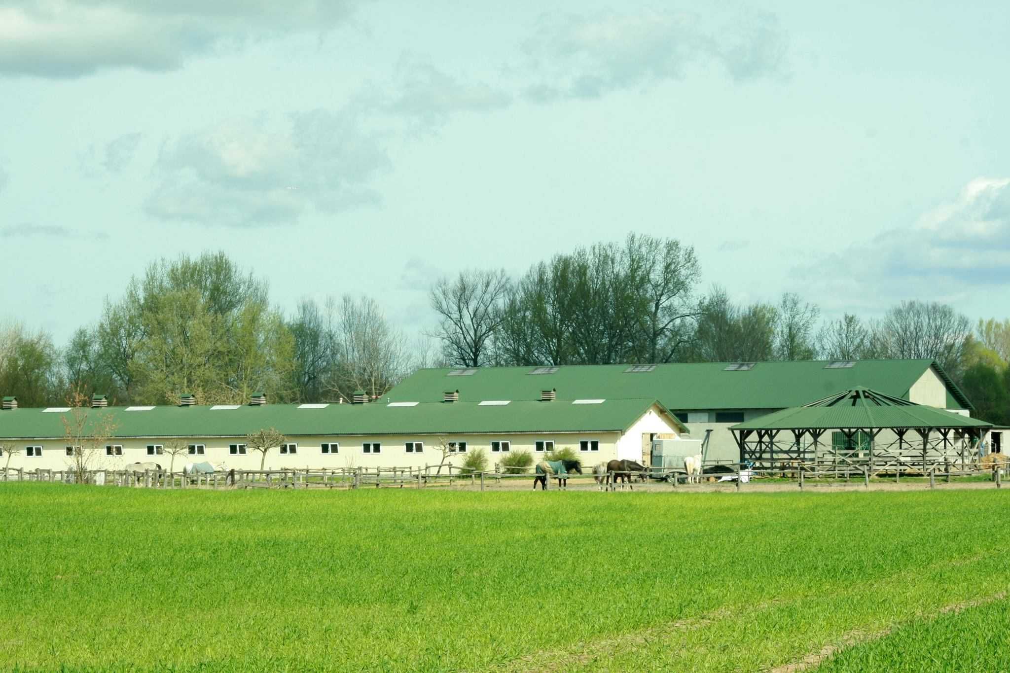 Ośrodek jeździecki, stajnia