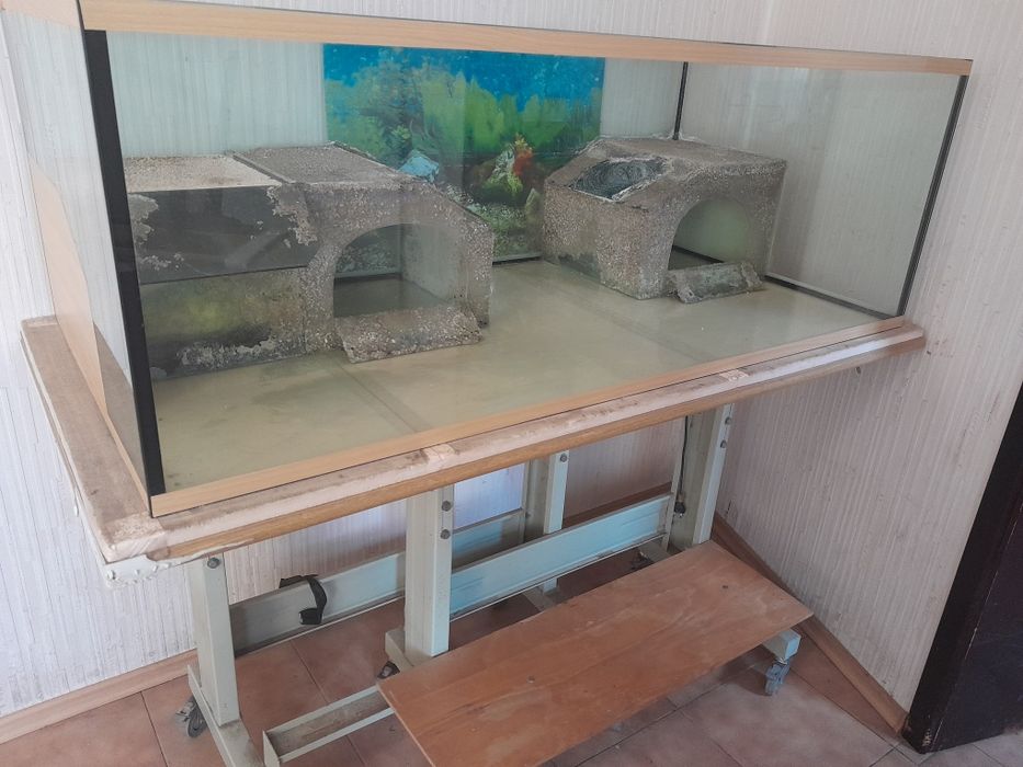 Большой аквариум-терариум.