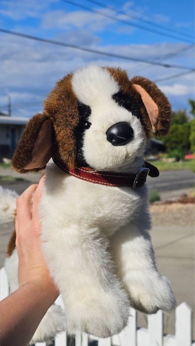 Дуглас douglas dog пес