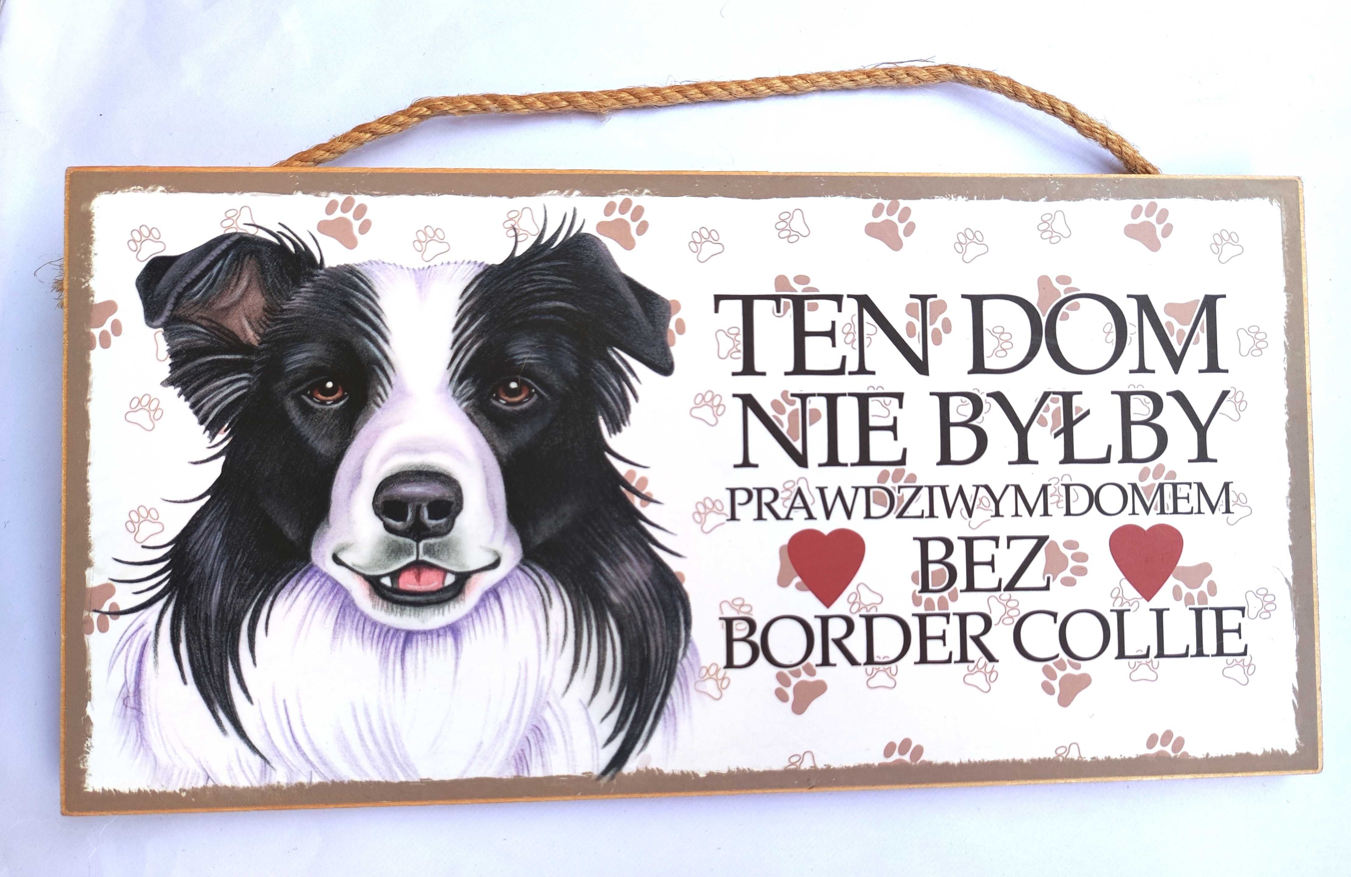 Border Collie tabliczka z psem pies gadżet