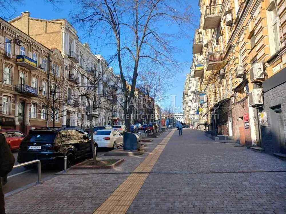 Центр чудова квартира Чикаленка Євгена Пушкінська 12а
