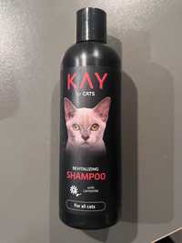 Nowy szampon dla kota