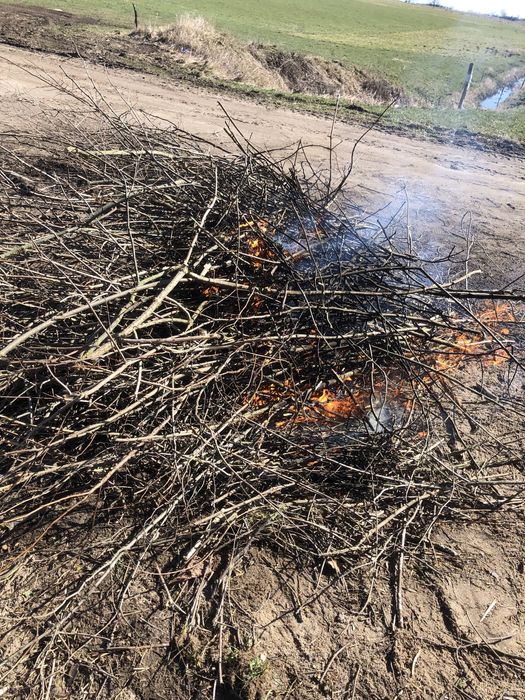 Rębak spalinowy tarczowy RTS-630