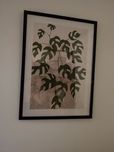 Plakat monstera adansonii minima liście ramka IKEA