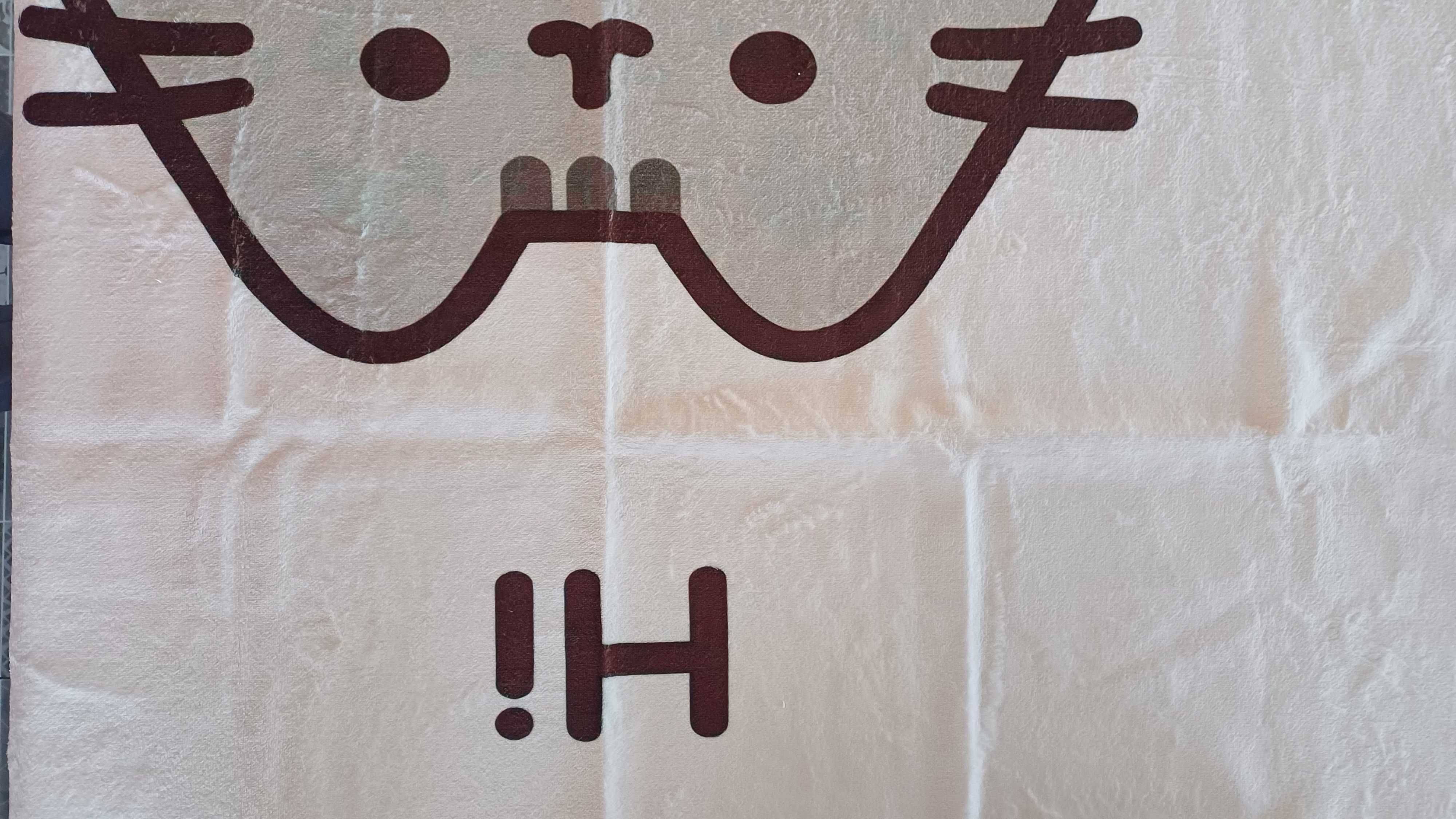 Ręcznik kąpielowy Pusheen 50x100 cm, mikrofibra, opakowanie na prezent