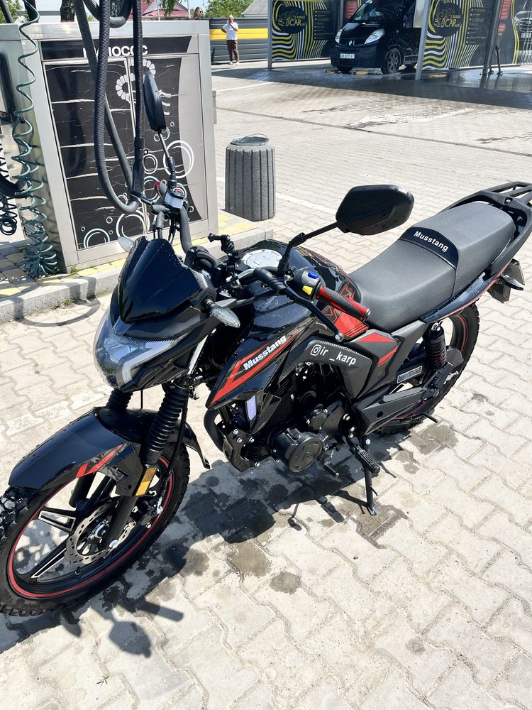 Мустан фортуна 250
