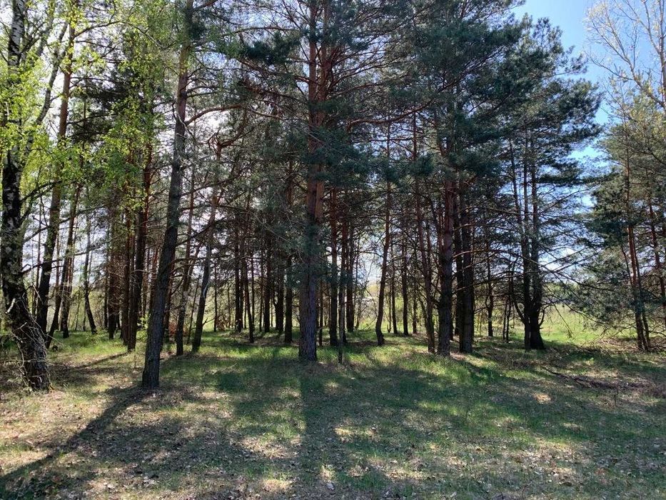 Земля під базу від починку біля озера в Лісовичах! Комунікації поруч