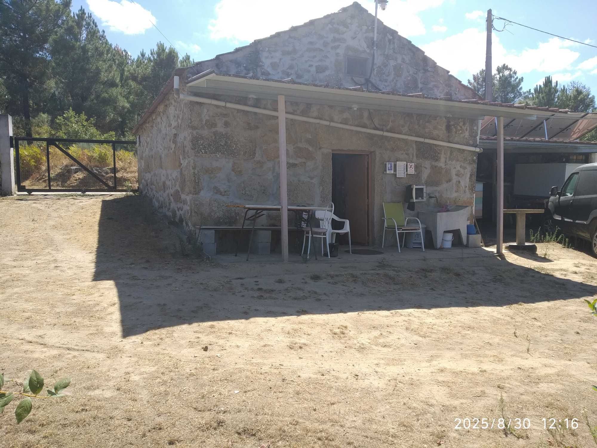 Quinta com mirtilos e oliveiras