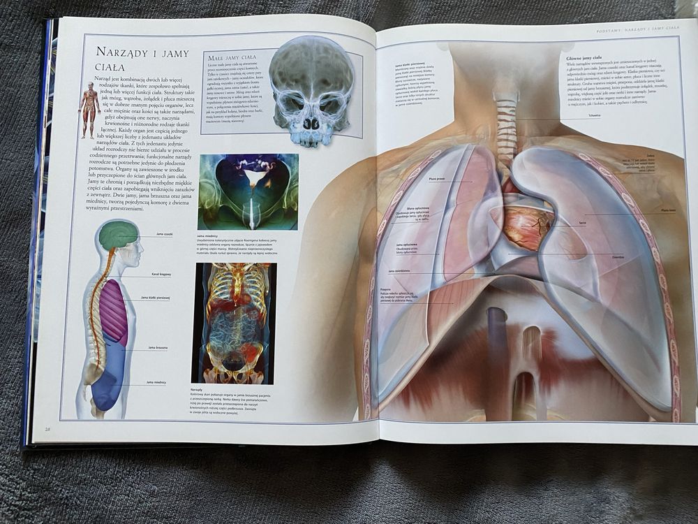 Wielki Atlas Anatomii Czlowieka Buchmann