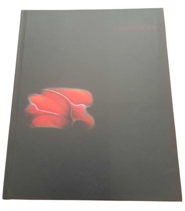 Clotilde Fava, Catálogo Retrospectivo da Obra, Ed. Museu da Água
