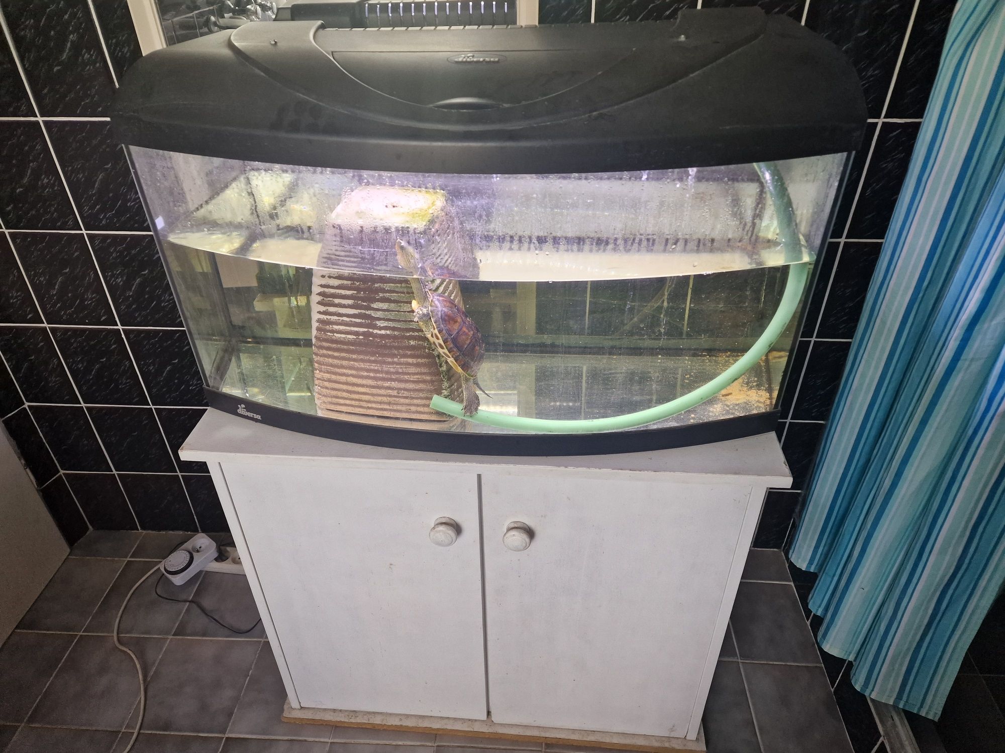 Akwarium diversa led 100l , eheim professional 4plus, żółw