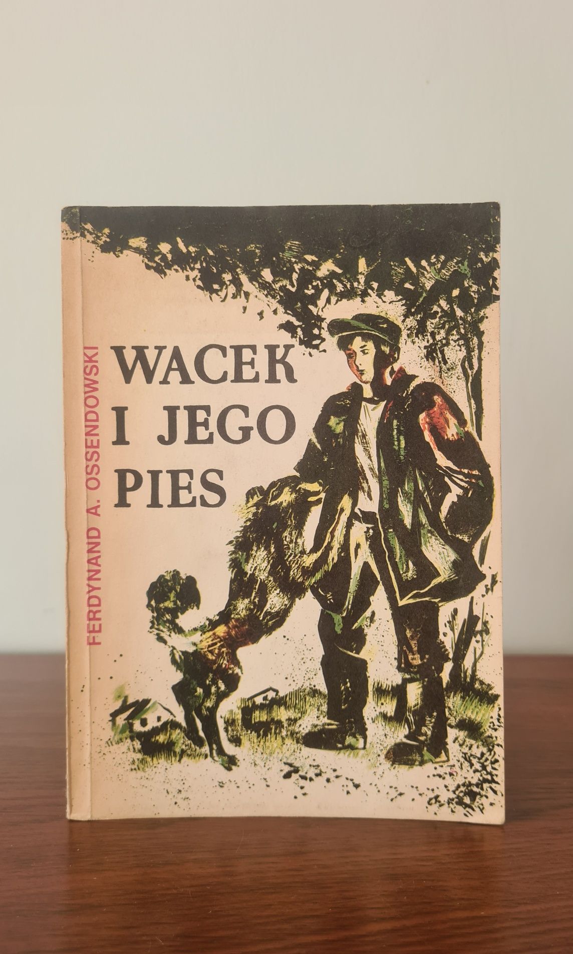 Wacek i jego pies - Ferdynand A. Ossendowski