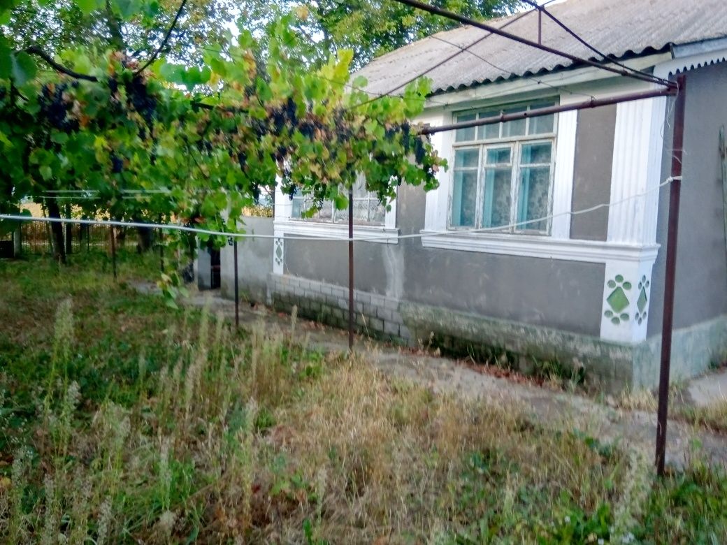 Продам будинок смт Стара Ушиця