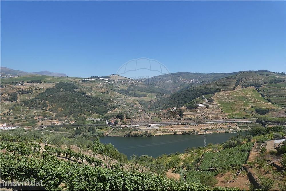 Terreno com vistas Douro