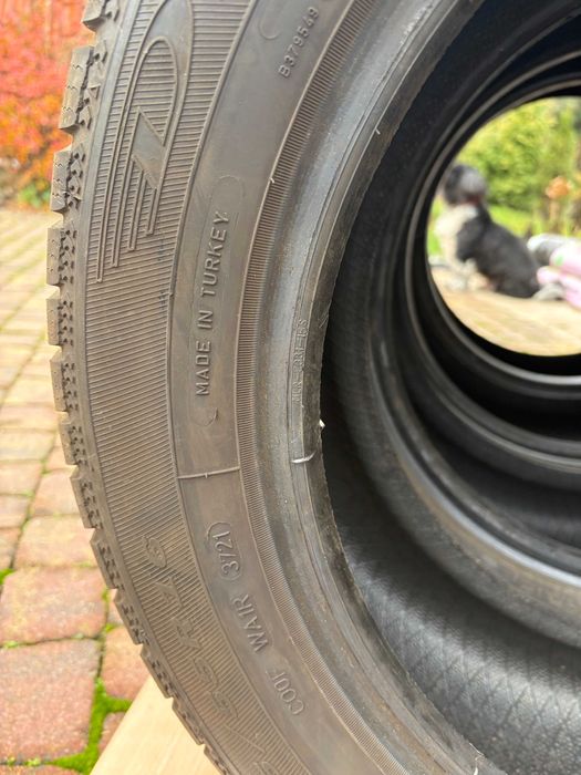 Opony zimowe Dębica 205/55/16