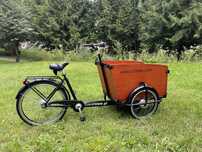 Rower cargo towarowy Babboe Big NOWY