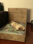 Cama para animal