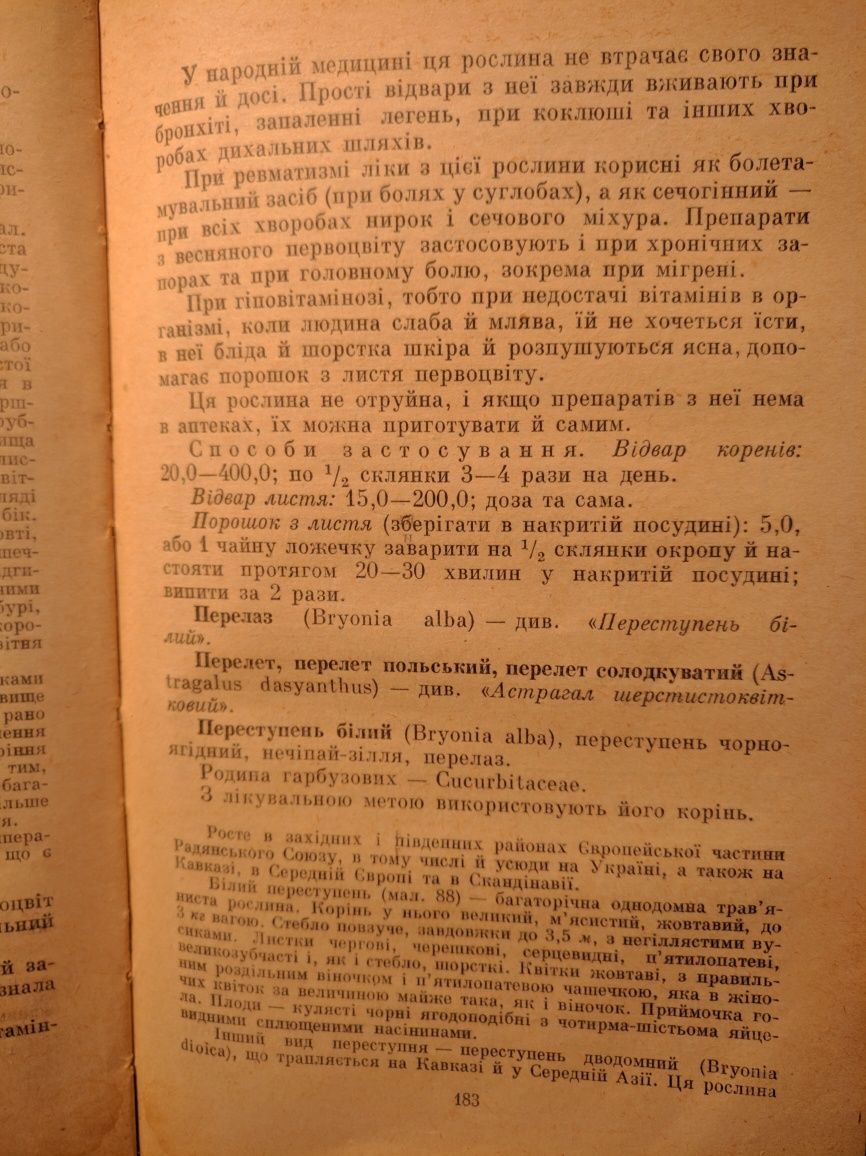 Чай,Первоцвет весняний,медяник,ключики,баранчики,лечебний чай