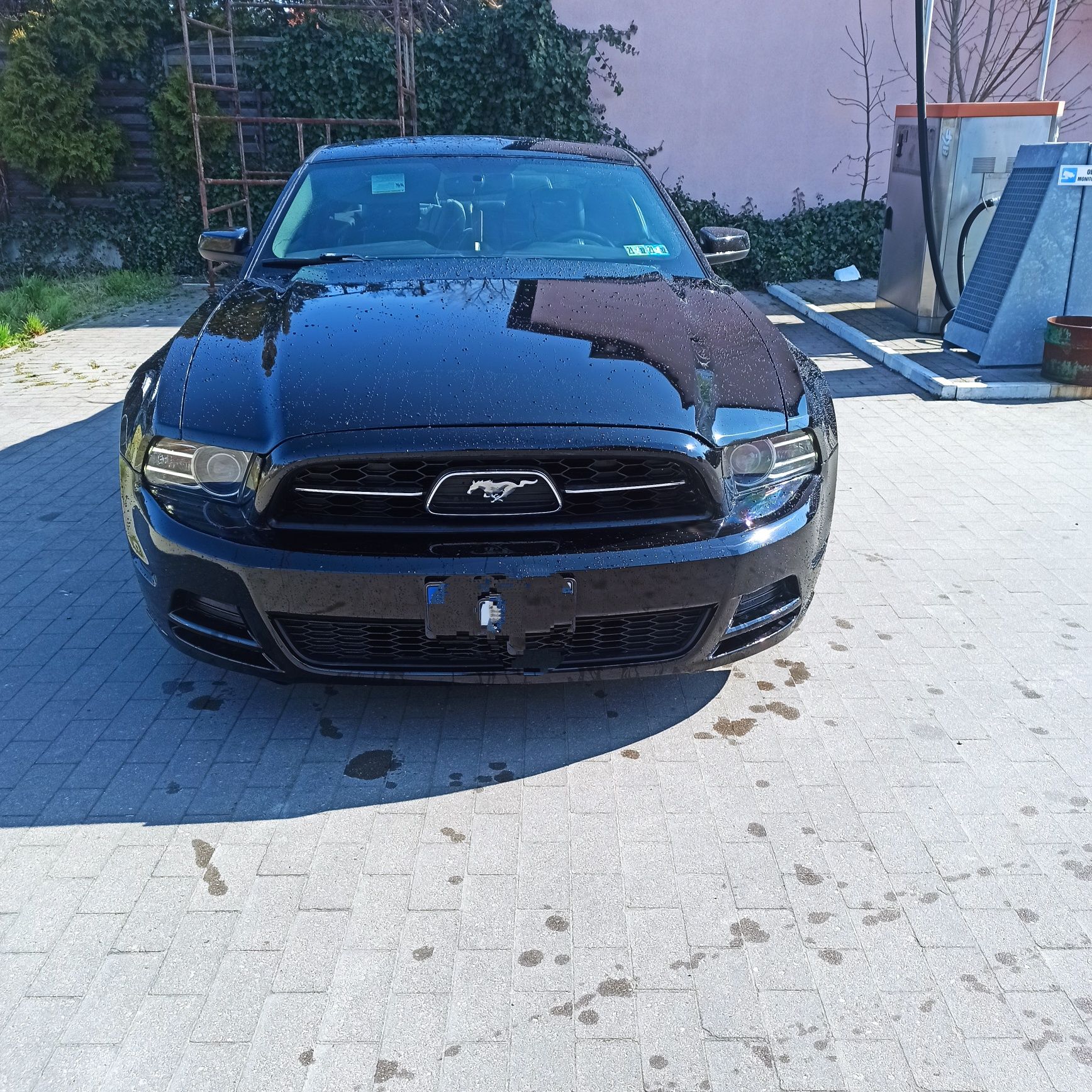 Ford Mustang 2013premium lpg
