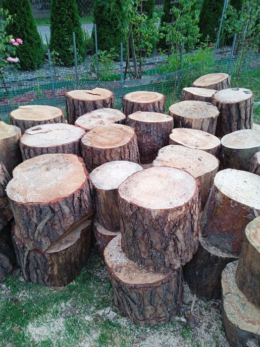 Drewno opałowe sosnowe-suche lub mokre