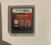 Kung fu panda nintendo ds