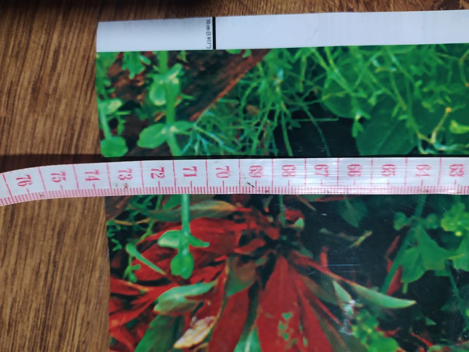 dwustronne tło do akwarium