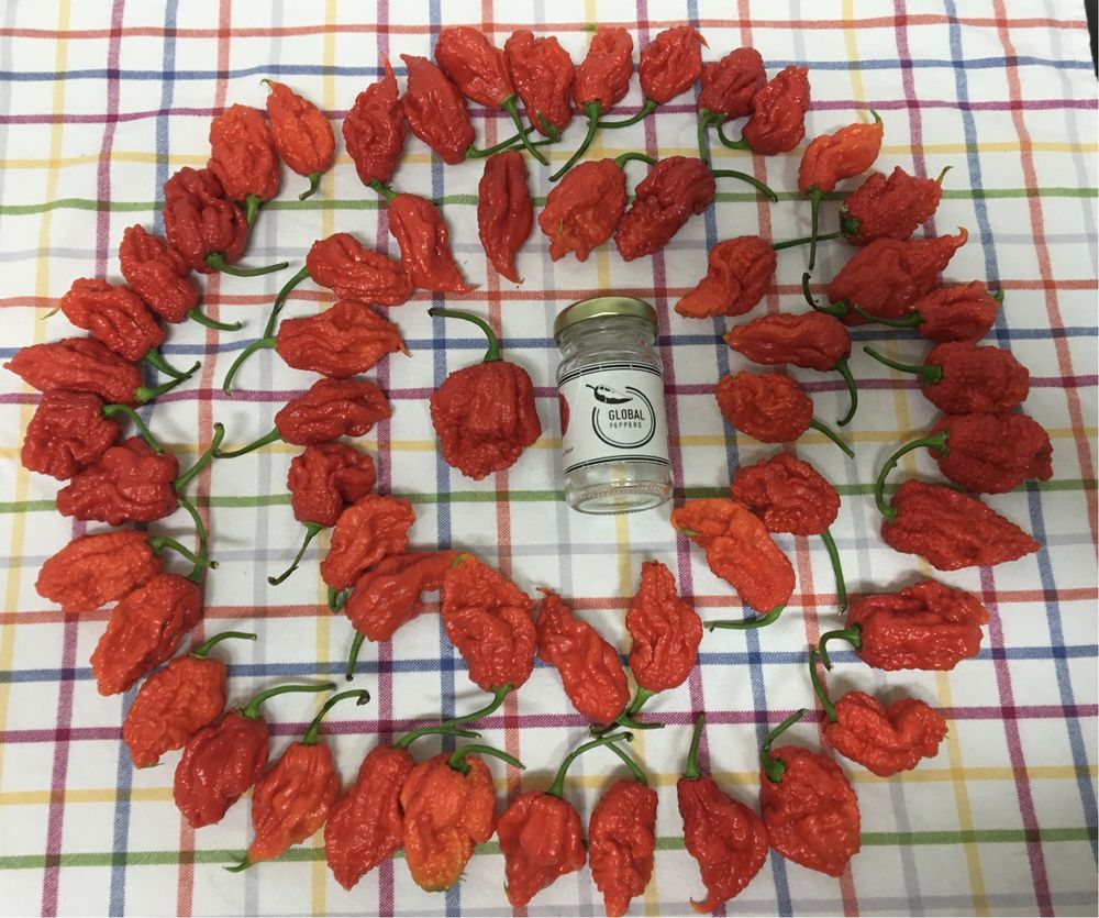 Sementes de Carolina Reaper