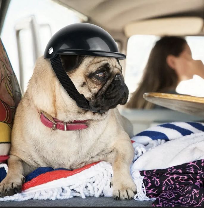 Мотошолом для собаки, кота