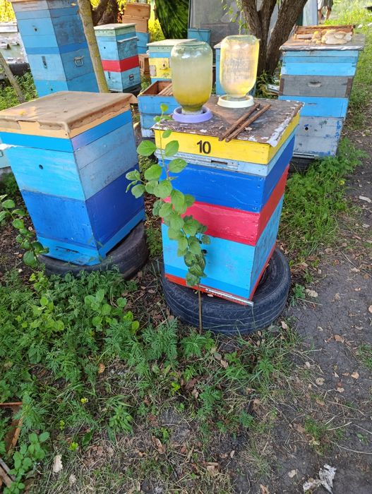 Продам улья 12ти и 10ти рамочные