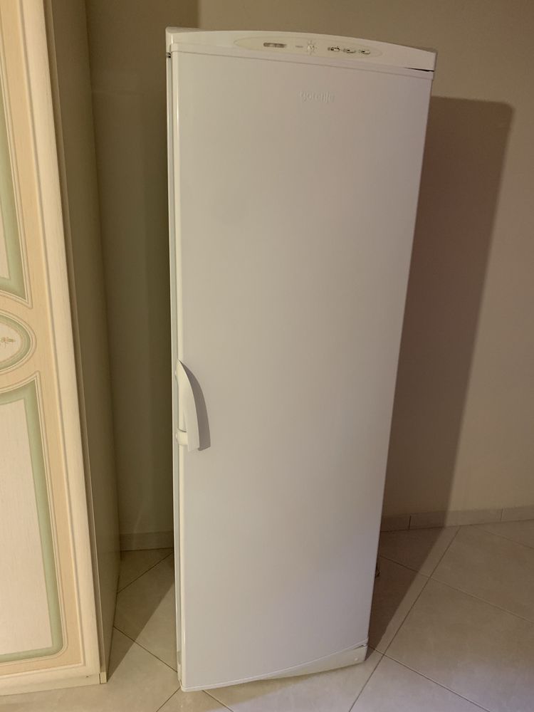 Морозильна камера gorenje F6313W