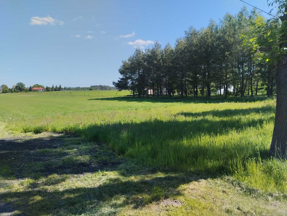 Działka 5600 m2 KOMORÓW / KAMPINOS pod Puszczą Kampinoską! KW Marzenie