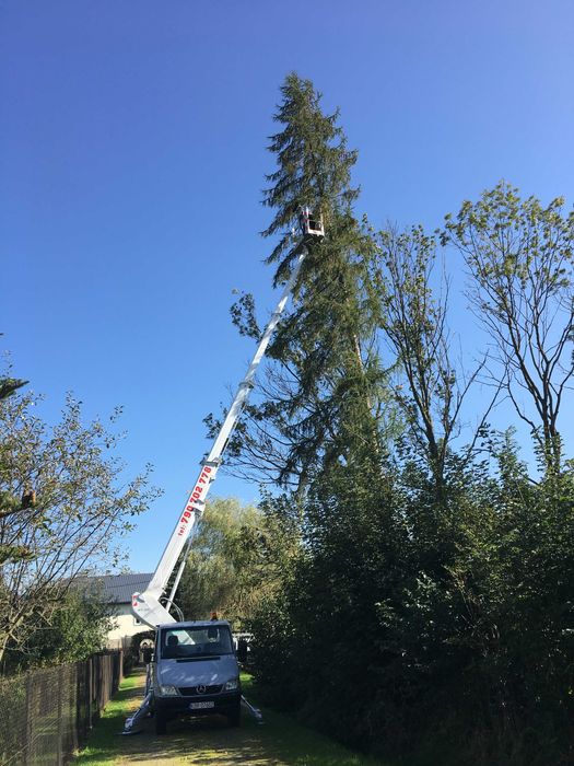 Wycinka drzew Usługi wysokościowe wynajem podnośnik koszowy 20m
