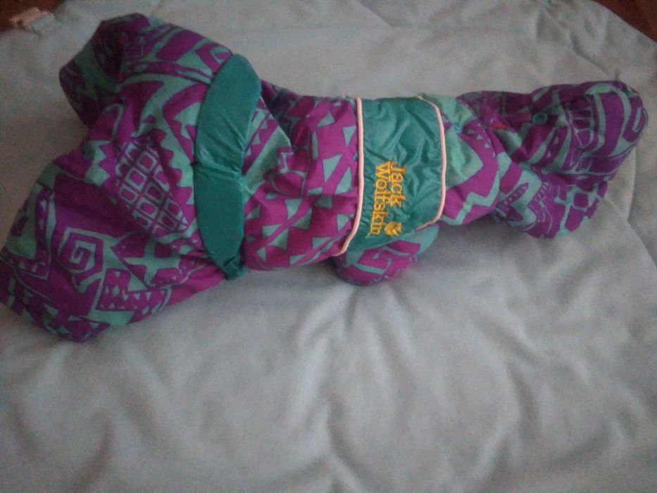 Одежда и аксессуары для собак