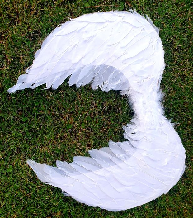 Białe skrzydła z piór skrzydła Anioła