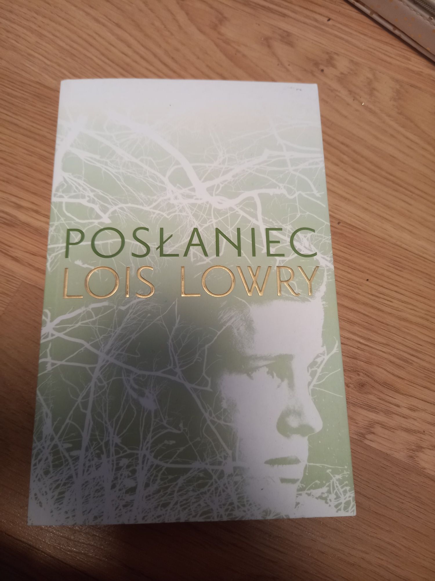 Nowa książka posłaniec lois Lowry hit prezent