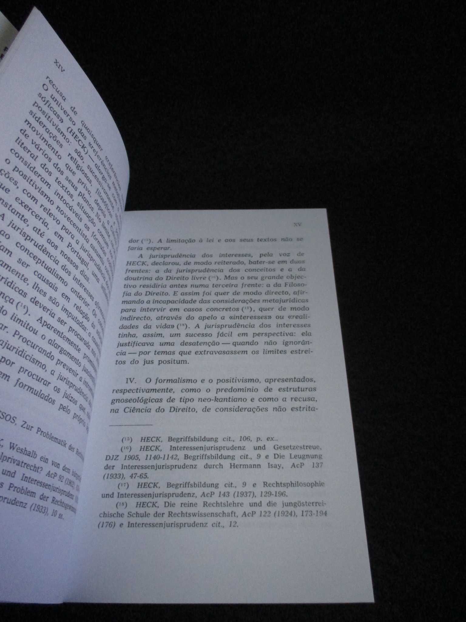 Livro Pensamento Sistemático e Conceito de Sistema Ciência do Direito
