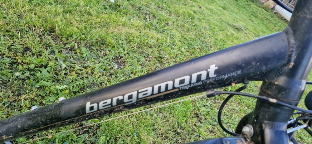 Rower Bergamont Trekking Performance Eliteblades Sponsor Tour Deore!