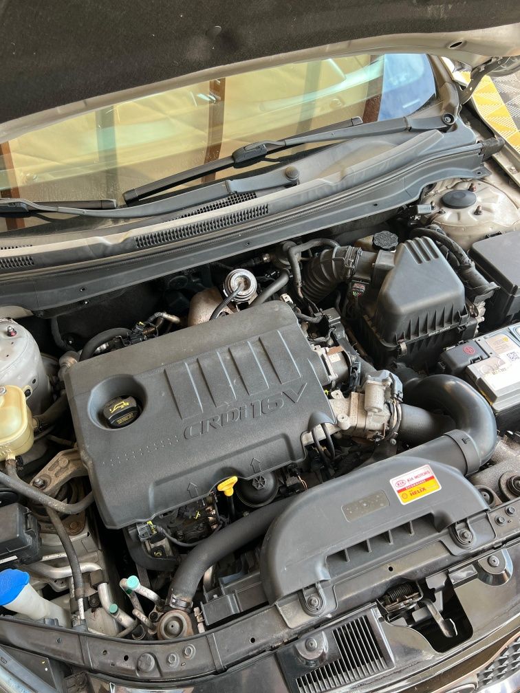 Kia Ceed SW 1.6 Crdi TX 130cv