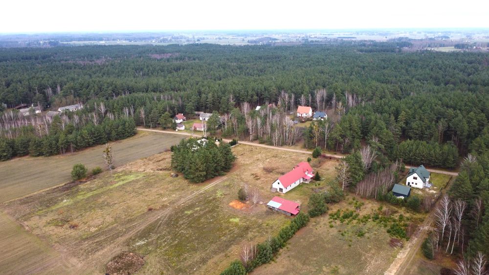 Siedlisko w Puszczy Kurpiowskiej