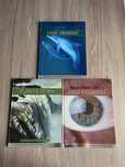 biblioteczka wiedzy zielona sowa