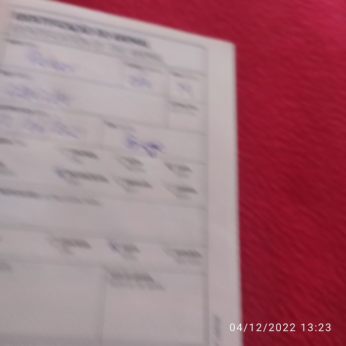 Caniche para  namorar