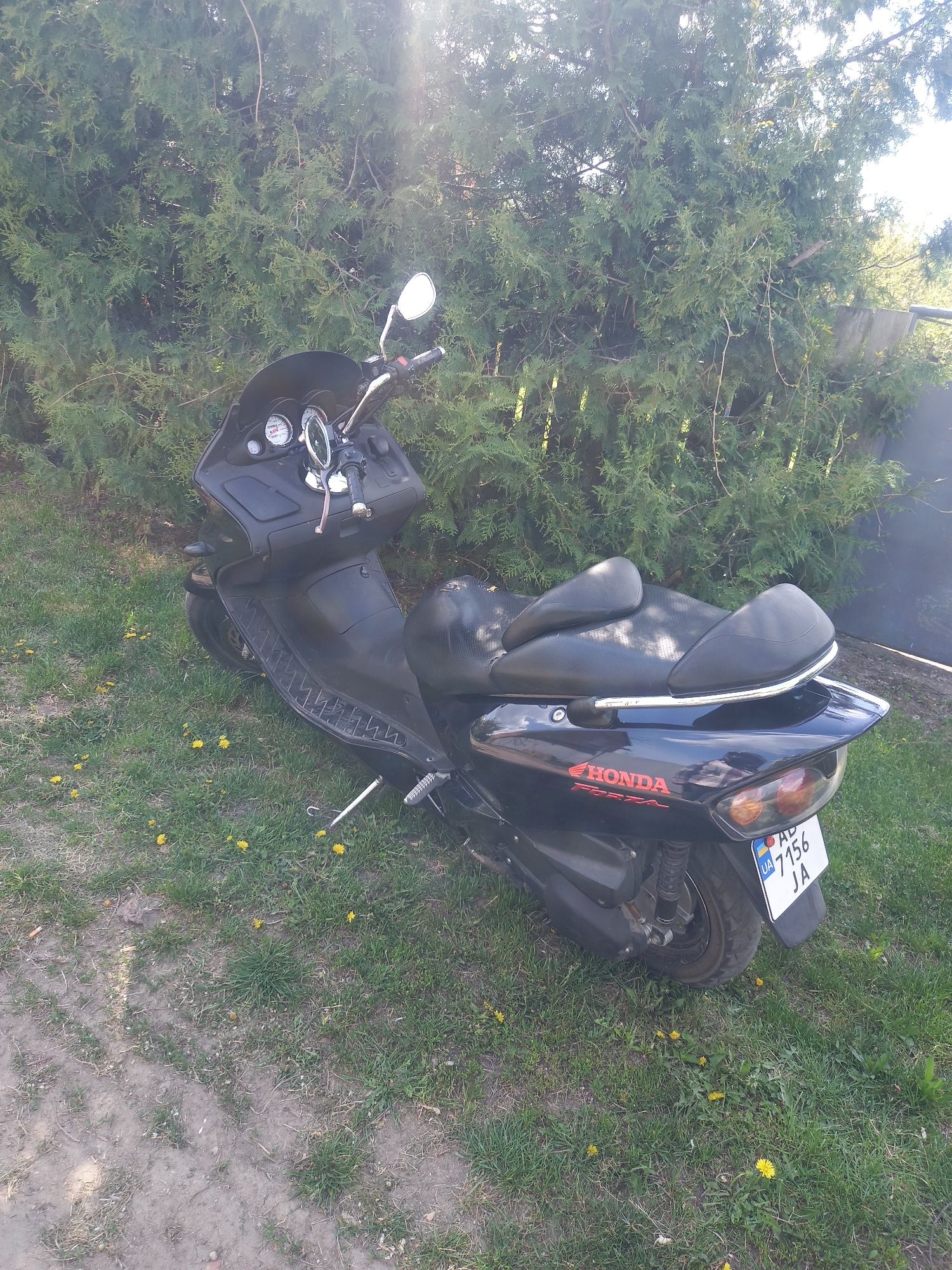 Хонда Форза nss250